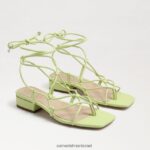 נשים הַנעָלָה Sam Edelman סנדל דפי עור קיווי 4XL22X423