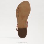 נשים הַנעָלָה Sam Edelman סנדל חוטיני ג'יג'י ורוד טרקוטה 4XL22X561 - Image 6