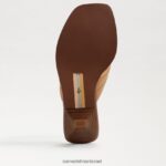 נשים הַנעָלָה Sam Edelman סנדל חוטיני דפני עור חול טבעי 4XL22X707 - Image 6