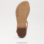 נשים הַנעָלָה Sam Edelman סנדל חוטיני gigi פרג כתום 4XL22X225 - Image 6
