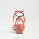 נשים הַנעָלָה Sam Edelman סנדל עקב בלוק חרוזים של Walda ורוד טיח 4XL22X65 - Image 5