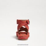 נשים הַנעָלָה Sam Edelman סנדל פלטפורמה של דקוטה פרג בהיר 4XL22X580 - Image 5