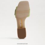 נשים הַנעָלָה Sam Edelman סנדל שקופיות חרוזים דיאקון אגס קיץ 4XL22X195 - Image 6