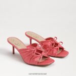 נשים הַנעָלָה Sam Edelman עקב רצועות pia וָרוֹד 4XL22X597