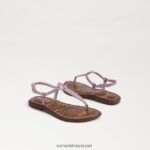 ילדים הַנעָלָה Sam Edelman סנדל חוטיני gigi לילך קוורץ 4XL22X961 - Image 7