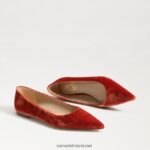 נשים הַנעָלָה Sam Edelman וונדה מחודדת בוהן שטוחה קטיפה כתומה קניון 4XL22X475 - Image 7