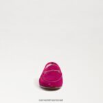 נשים הַנעָלָה Sam Edelman לוריין ביט לופר קטיפה פטל 4XL22X35 - Image 3