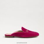 נשים הַנעָלָה Sam Edelman ליני נשך פרד קטיפה פטל 4XL22X74 - Image 2