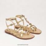 נשים הַנעָלָה Sam Edelman סנדל גוון גלדיאטור זהב ענבר 4XL22X249