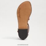 נשים הַנעָלָה Sam Edelman סנדל גלדיאטור של גיבס קוניאק עשיר 4XL22X943 - Image 6