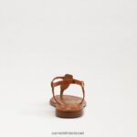נשים הַנעָלָה Sam Edelman סנדל חוטיני ג'יג'י אוּכָּף 4XL22X559 - Image 5