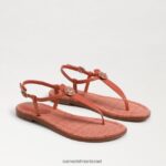 נשים הַנעָלָה Sam Edelman סנדל חוטיני ג'יג'י ורוד טרקוטה 4XL22X561