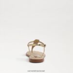 נשים הַנעָלָה Sam Edelman סנדל חוטיני ג'יג'י זהב 4XL22X560 - Image 5