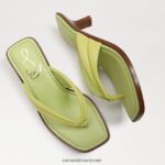 נשים הַנעָלָה Sam Edelman סנדל חוטיני דפני עור קיווי 4XL22X710 - Image 7