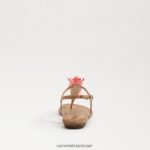 נשים הַנעָלָה Sam Edelman סנדל חוטיני של ברינדה חול טבעי 4XL22X728 - Image 5