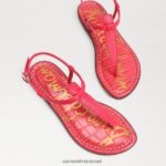 נשים הַנעָלָה Sam Edelman סנדל חוטיני gigi אולטרה פוקסיה 4XL22X230 - Image 7
