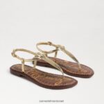 נשים הַנעָלָה Sam Edelman סנדל חוטיני gigi זהב ענבר 4XL22X231