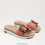 נשים הַנעָלָה Sam Edelman סנדל מגלשה ariane ורוד טיח 4XL22X181