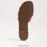 נשים הַנעָלָה Sam Edelman סנדל מגלשת מפרץ אלמוג קליפסו 4XL22X11 - Image 6