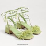נשים הַנעָלָה Sam Edelman סנדל עקב בלוק חרוזים של Walda אגס קיץ 4XL22X63