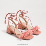נשים הַנעָלָה Sam Edelman סנדל עקב בלוק חרוזים של Walda ורוד טיח 4XL22X65