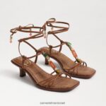 נשים הַנעָלָה Sam Edelman סנדל עקב חתולים עם רצועות של dacie אוּכָּף 4XL22X620