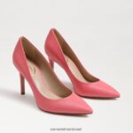 נשים הַנעָלָה Sam Edelman עקב אצבע מחודד לוז אלמוג קליפסו 4XL22X156