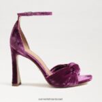נשים הַנעָלָה Sam Edelman רצועת קרסול לוסיה עקב אצבע פתוחה קטיפה סחלב עמוקה 4XL22X874 - Image 2