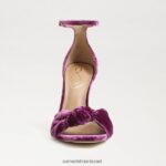 נשים הַנעָלָה Sam Edelman רצועת קרסול לוסיה עקב אצבע פתוחה קטיפה סחלב עמוקה 4XL22X874 - Image 3